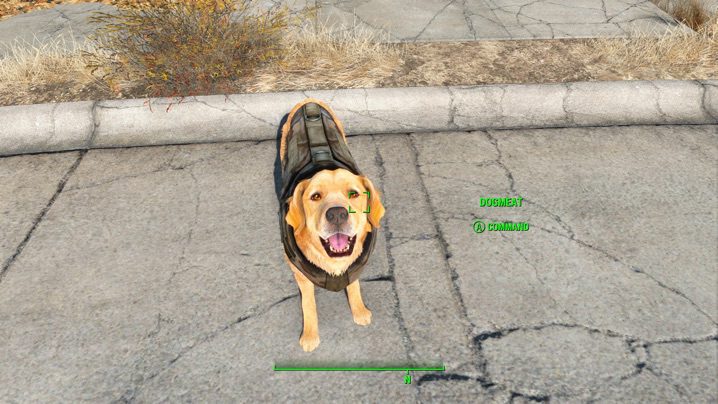 Xbox One版fallout 4 Mod Transdogrifiable With Dog Armor Digiroma