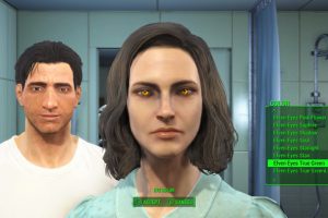 The Eyes Of Beauty Fallout Edition1