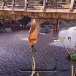 Fallout 76 ディジーズ・キュアの材料1