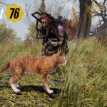 Fallout 76 猫