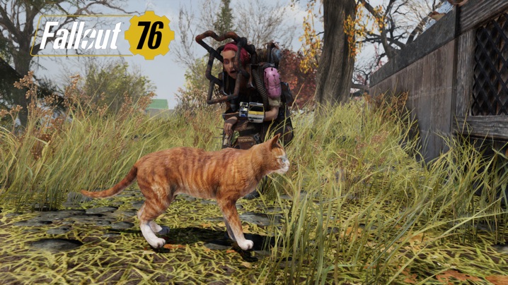 Fallout 76 猫と一緒に暮らしたい Digiroma