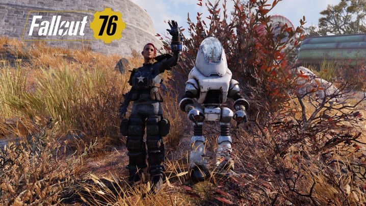 Fallout 76 中傷ボット