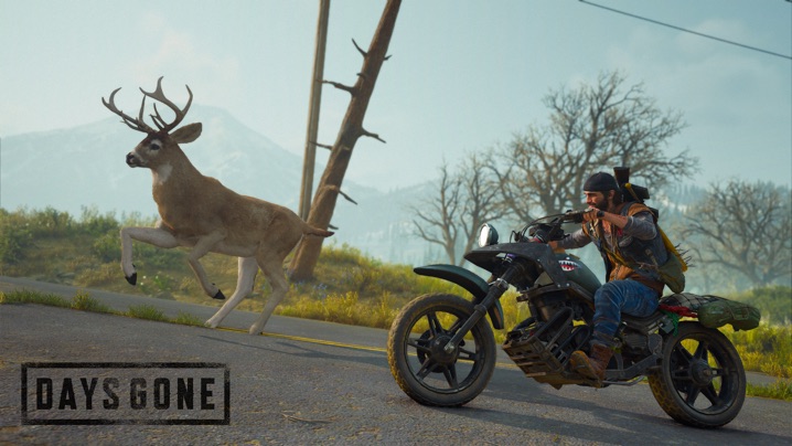 Days Gone 1