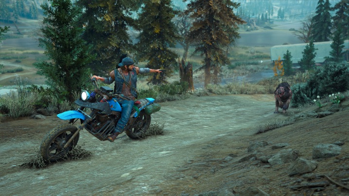 Days Gone 1