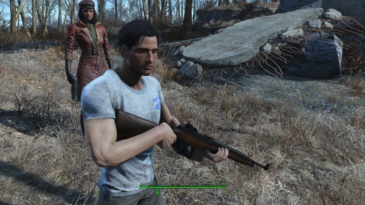 fallout 4 m14 mod