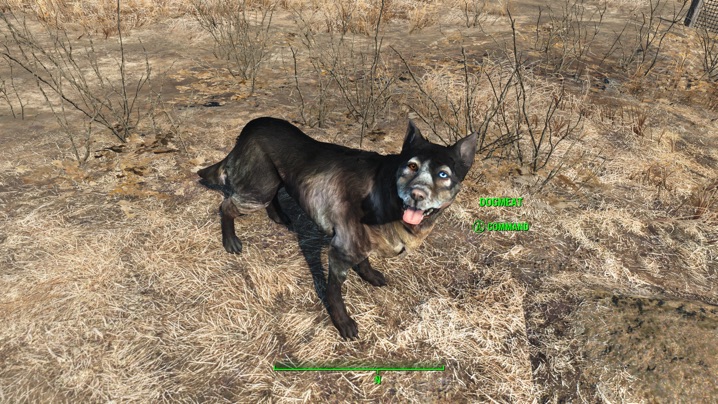 Classic Dogmeat1