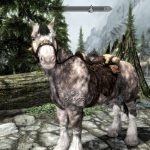 Skyrim 馬MOD