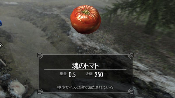 Skyrim AE 魂のトマト