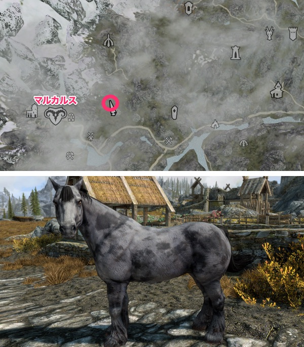 Skyrim AE 野生の馬 灰斑点の馬