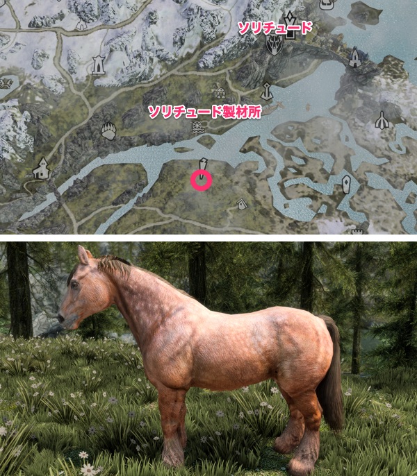 Skyrim AE 野生の馬 茶ぶちの馬