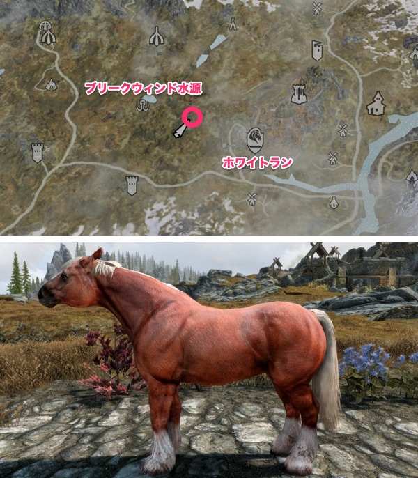 Skyrim AE 野生の馬 赤毛の馬