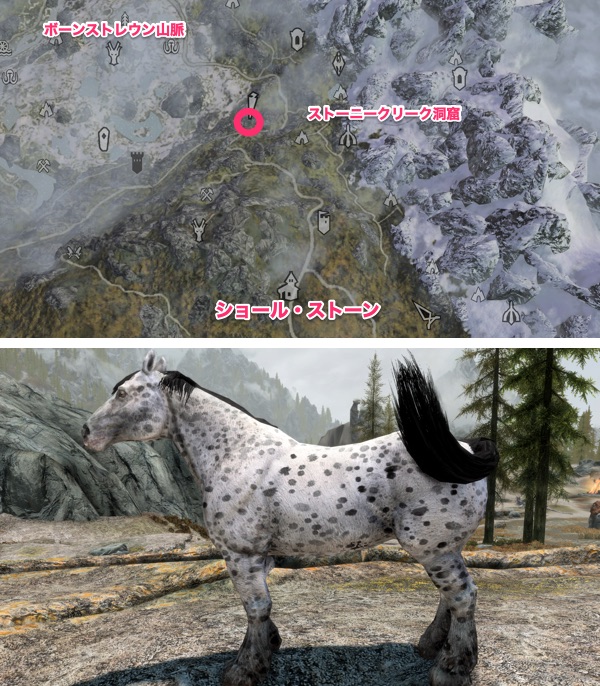 Skyrim AE 野生の馬 白斑点の馬