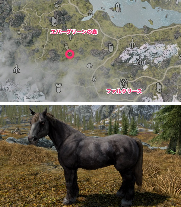 Skyrim AE 野生の馬 黒毛の馬
