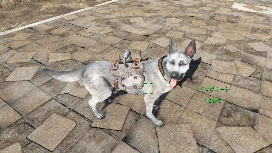 Fallout 4 AE ドッグトランサー 2
