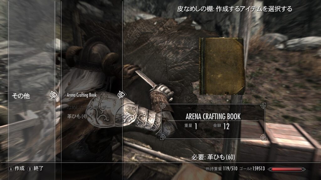 TES Arena Bikini 2