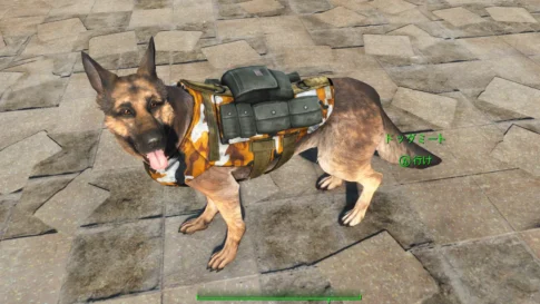K-9 Tactical Harness - REVAMPED 1