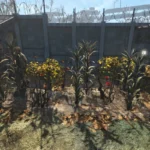 Fallout 4 AE 粘着剤の量産方法 1