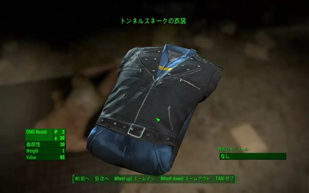 Fallout 4 AE トンネルスネーク最強！ 6