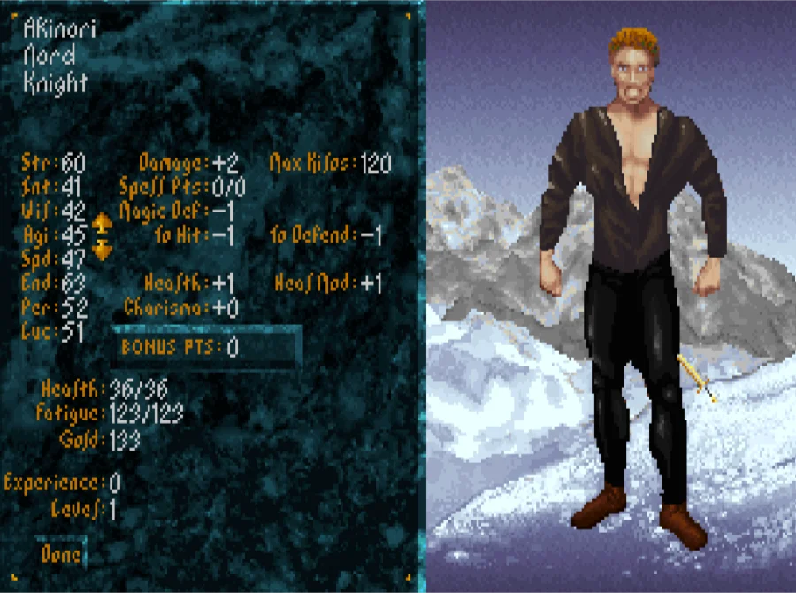 The Elder Scrolls: Arena 4