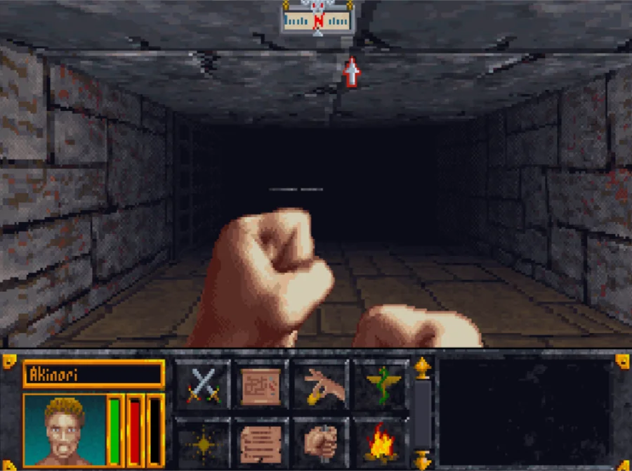 The Elder Scrolls: Arena 5