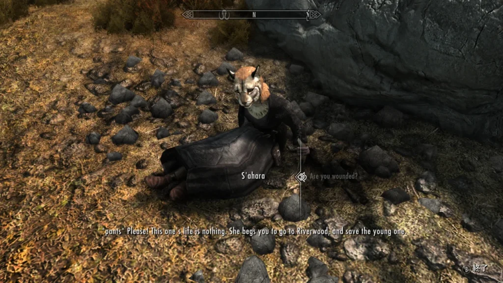 Mrissi - Chie replacer 3